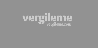 Tam ve kısmi bölünme nedir